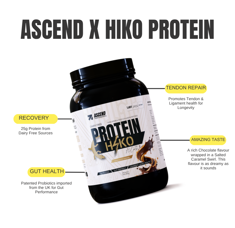 ASCEND Performance x Hiko Curtis Dairy Free Protein